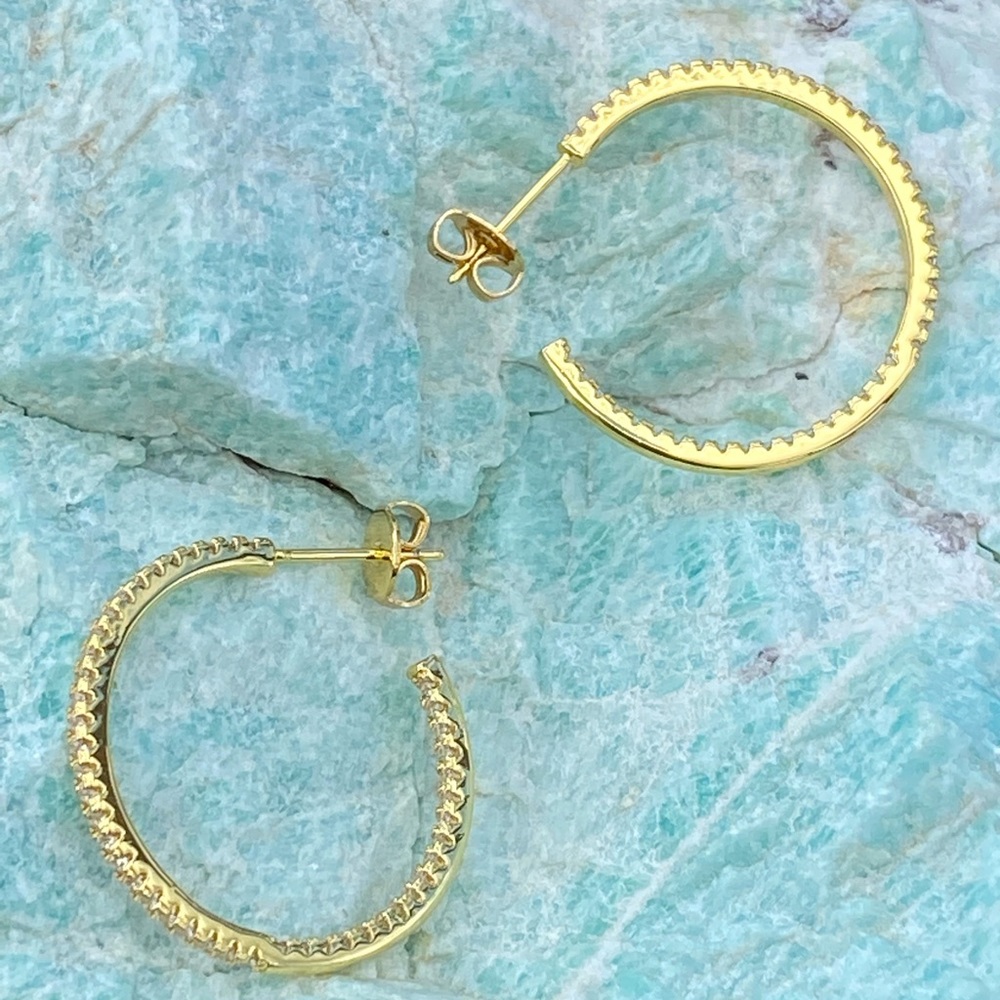 Hespera Practically Perfect Hoops